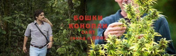 эйфоретик Сафоново