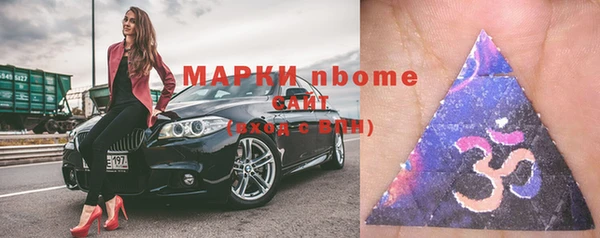 прущие грибы Михайловск