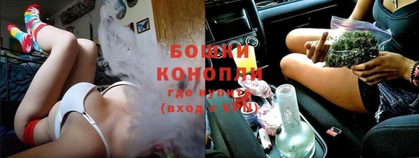 дживик Саяногорск