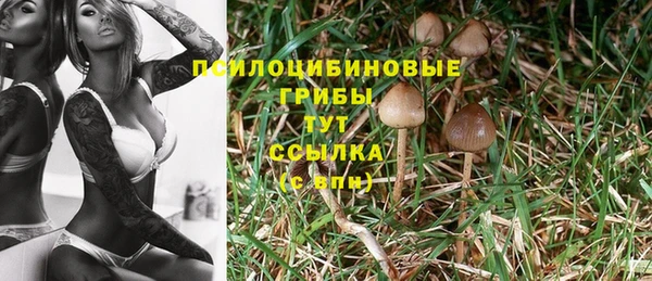 прущая мука Медногорск