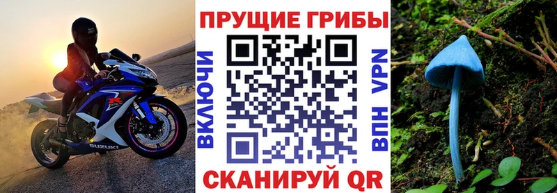 гидра tor  Нерехта  Псилоцибиновые грибы прущие грибы  что такое наркотик 